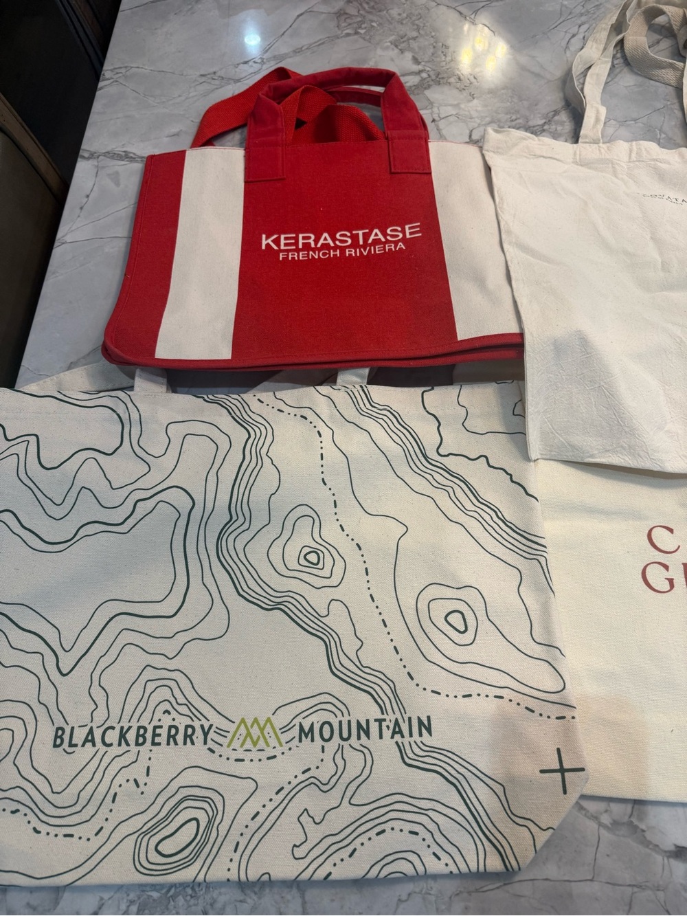 All NEW Lot of 8 Canvas/Cotton Tote bags
